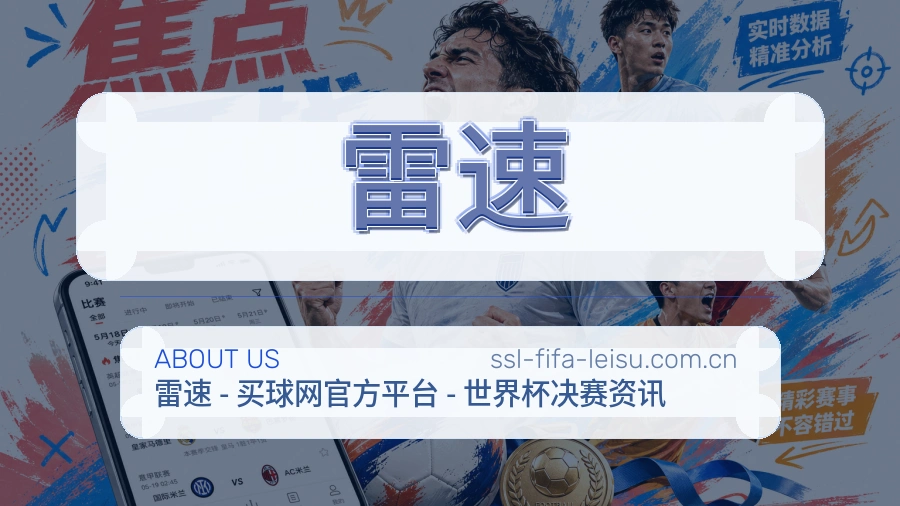 雷速发展介绍